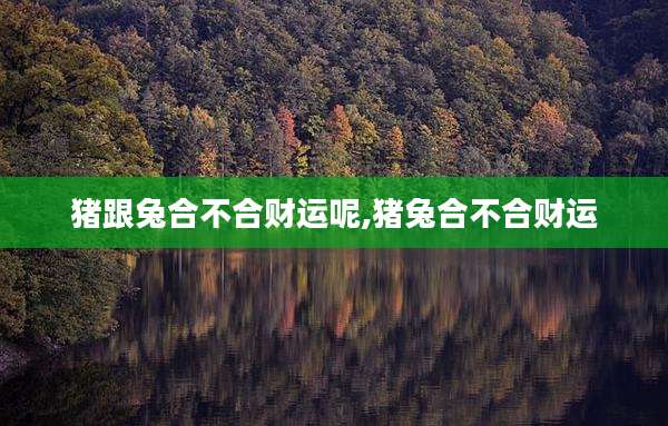 猪跟兔合不合财运呢,猪兔合不合财运