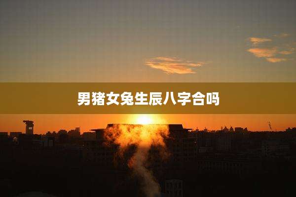 男猪女兔生辰八字合吗