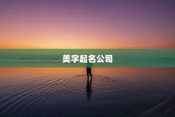 美字起名公司
