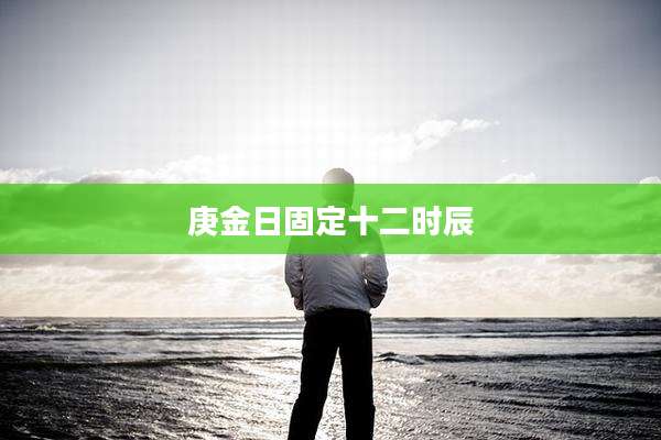 庚金日固定十二时辰