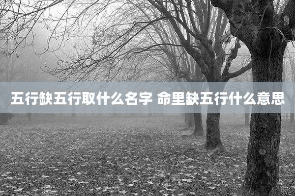 五行缺五行取什么名字 命里缺五行什么意思