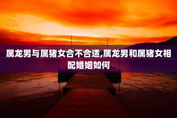 属龙男与属猪女合不合适,属龙男和属猪女相配婚姻如何