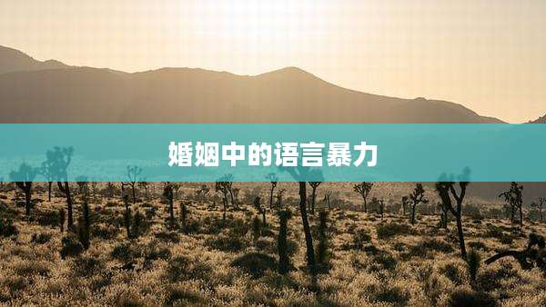 婚姻中的语言暴力