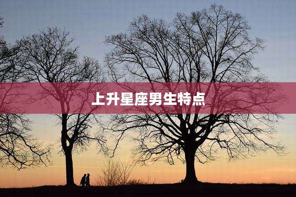 上升星座男生特点