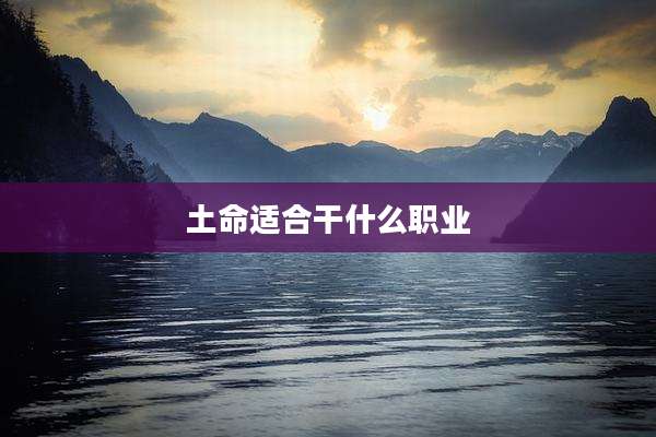 土命适合干什么职业