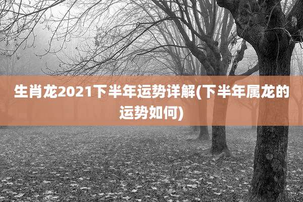 生肖龙2021下半年运势详解(下半年属龙的运势如何)