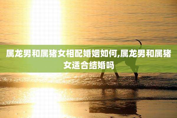 属龙男和属猪女相配婚姻如何,属龙男和属猪女适合结婚吗