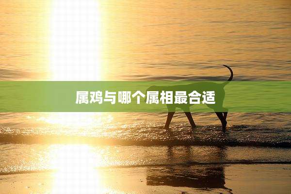 属鸡与哪个属相最合适