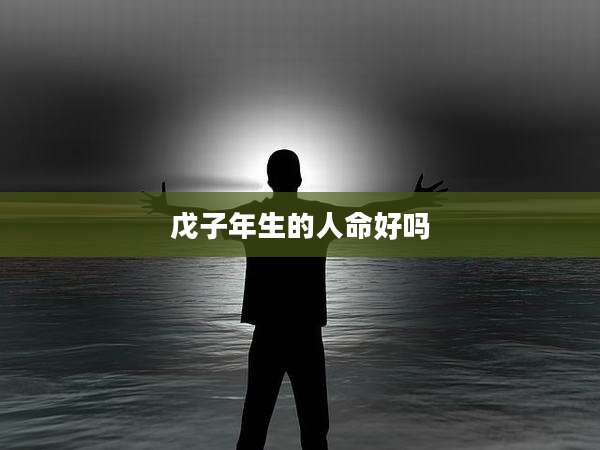 戊子年生的人命好吗