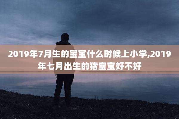 2019年7月生的宝宝什么时候上小学,2019年七月出生的猪宝宝好不好