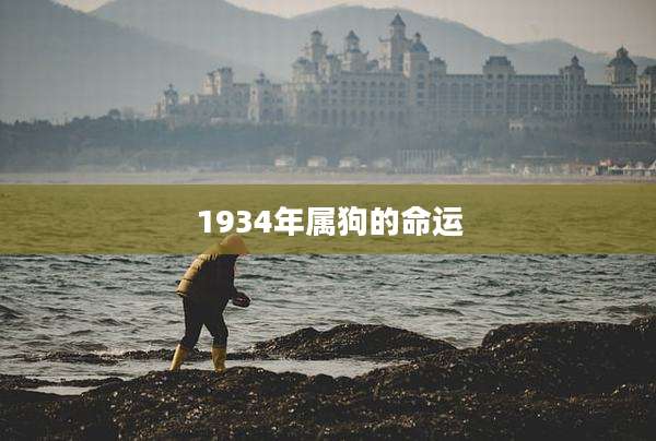 1934年属狗的命运
