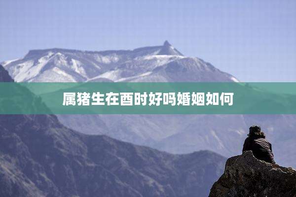属猪生在酉时好吗婚姻如何
