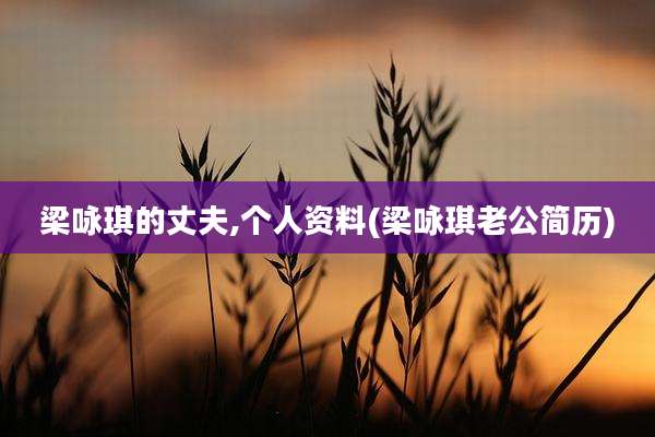 梁咏琪的丈夫,个人资料(梁咏琪老公简历)