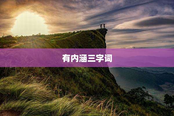 有内涵三字词