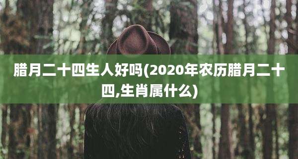 腊月二十四生人好吗(2020年农历腊月二十四,生肖属什么)