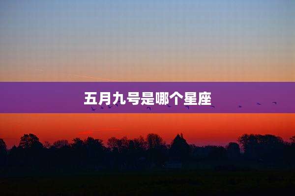 五月九号是哪个星座