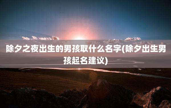 除夕之夜出生的男孩取什么名字(除夕出生男孩起名建议)