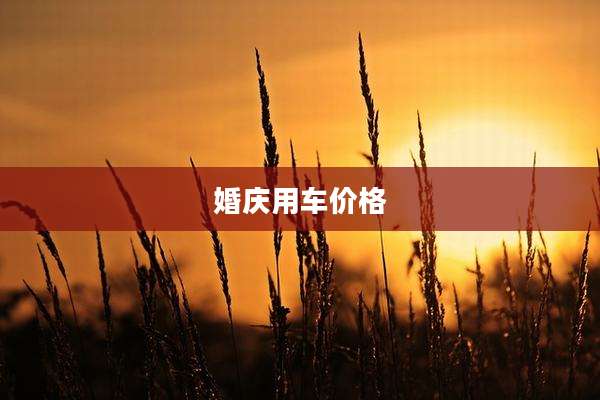 婚庆用车价格