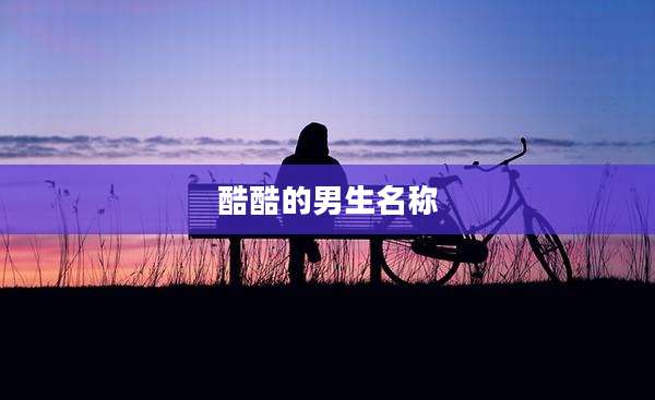 酷酷的男生名称