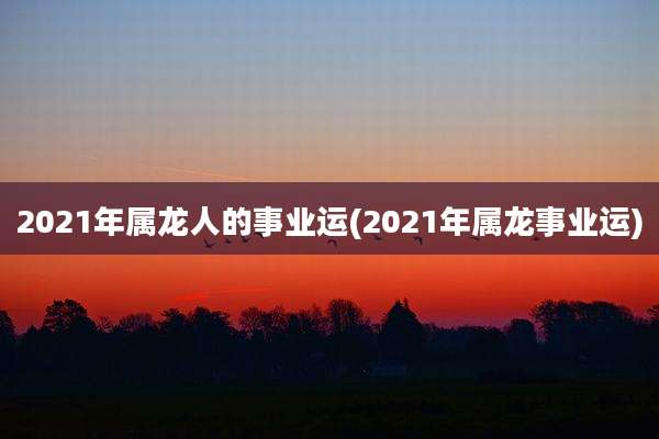 2021年属龙人的事业运(2021年属龙事业运)