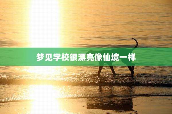梦见学校很漂亮像仙境一样