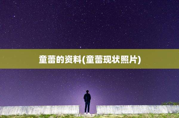 童蕾的资料(童蕾现状照片)