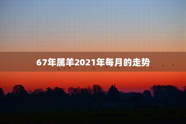 67年属羊2021年每月的走势