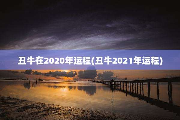 丑牛在2020年运程(丑牛2021年运程)