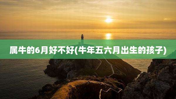 属牛的6月好不好(牛年五六月出生的孩子)