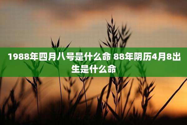 1988年四月八号是什么命 88年阴历4月8出生是什么命