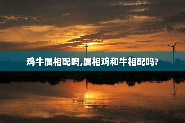 鸡牛属相配吗,属相鸡和牛相配吗?