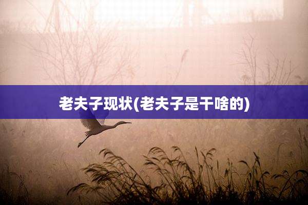 老夫子现状(老夫子是干啥的)