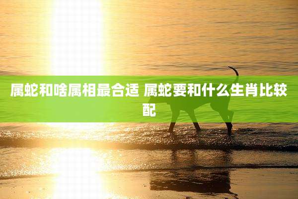 属蛇和啥属相最合适 属蛇要和什么生肖比较配