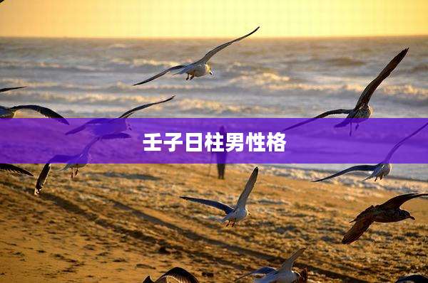 壬子日柱男性格