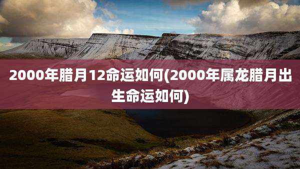 2000年腊月12命运如何(2000年属龙腊月出生命运如何)