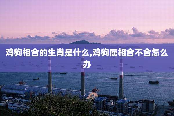 鸡狗相合的生肖是什么,鸡狗属相合不合怎么办