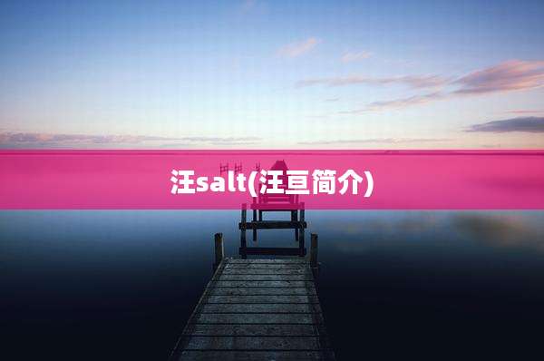 汪salt(汪亘简介)