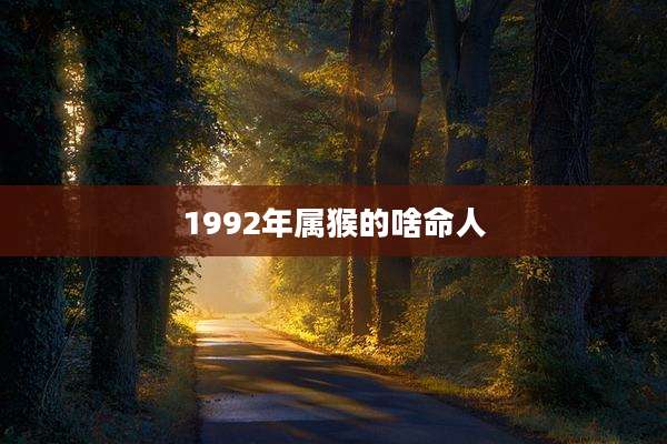 1992年属猴的啥命人