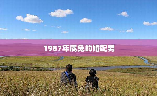 1987年属兔的婚配男
