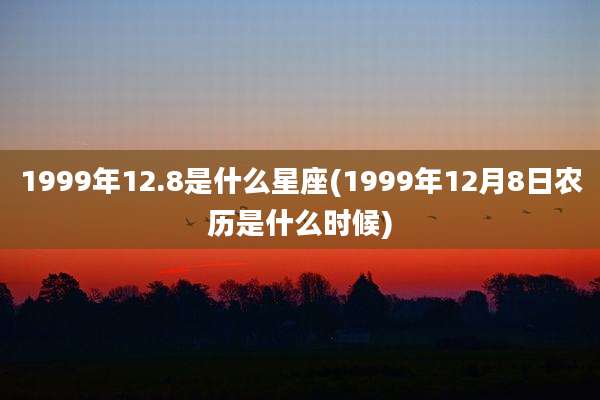1999年12.8是什么星座(1999年12月8日农历是什么时候)