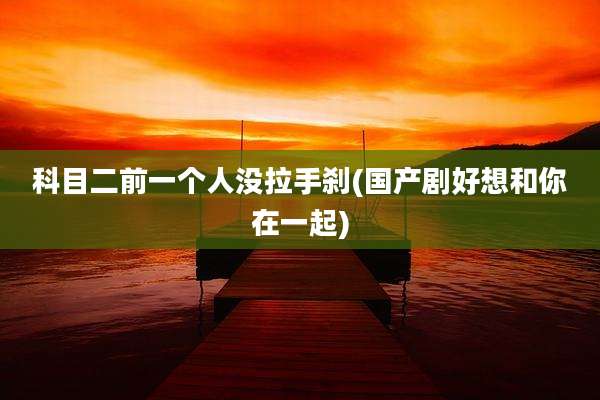科目二前一个人没拉手刹(国产剧好想和你在一起)