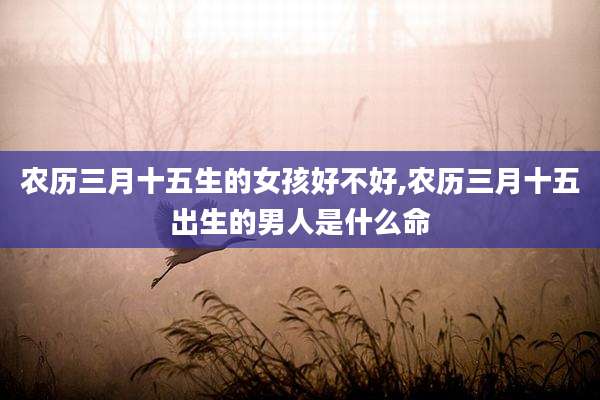 农历三月十五生的女孩好不好,农历三月十五出生的男人是什么命