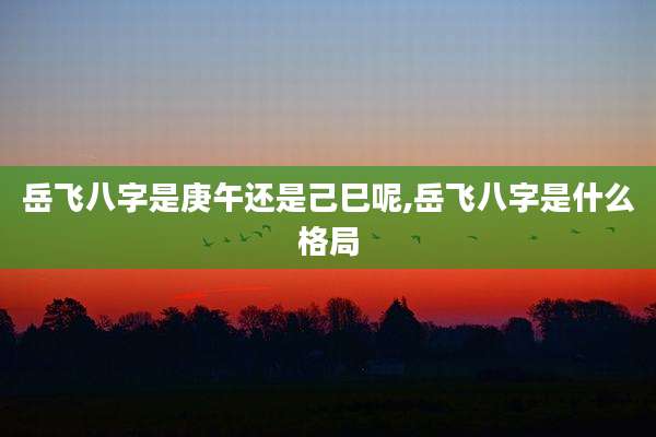 岳飞八字是庚午还是己巳呢,岳飞八字是什么格局
