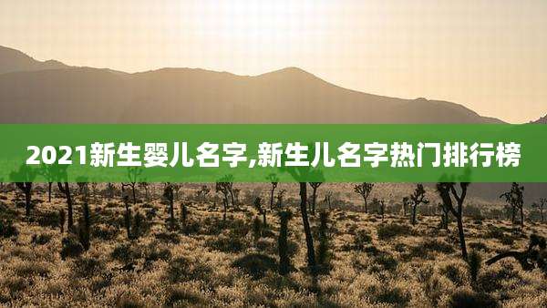 2021新生婴儿名字,新生儿名字热门排行榜