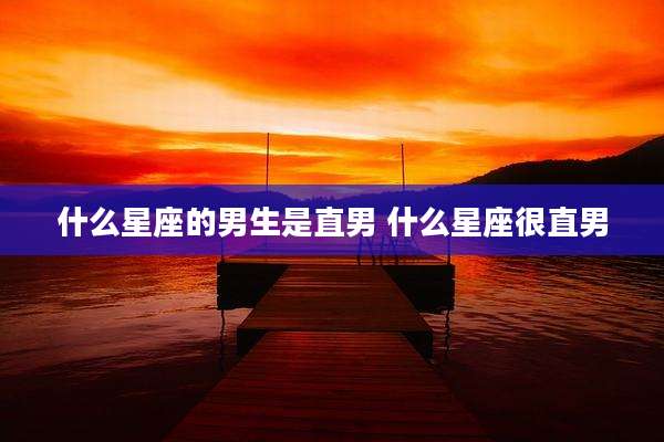 什么星座的男生是直男 什么星座很直男
