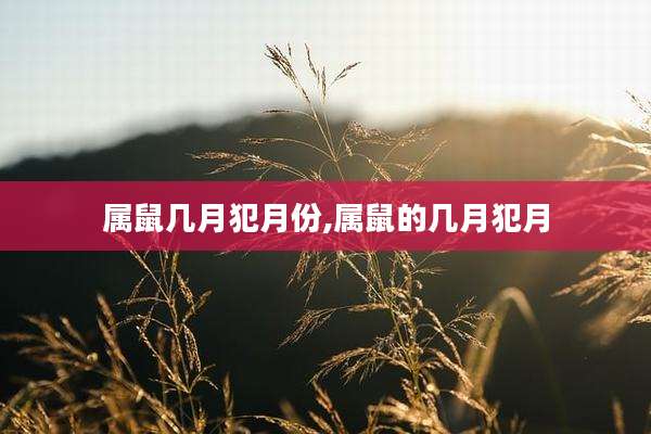 属鼠几月犯月份,属鼠的几月犯月