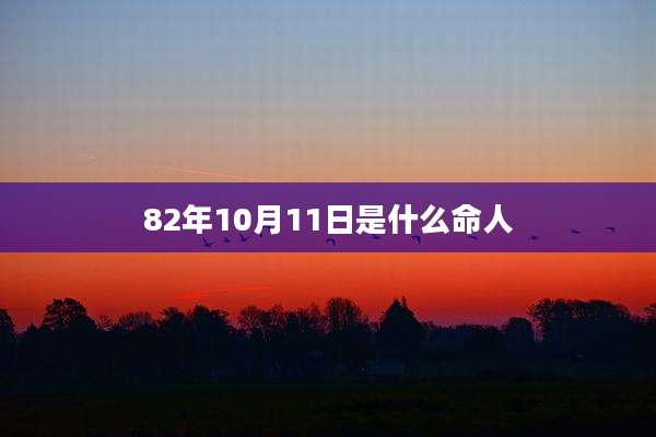 82年10月11日是什么命人