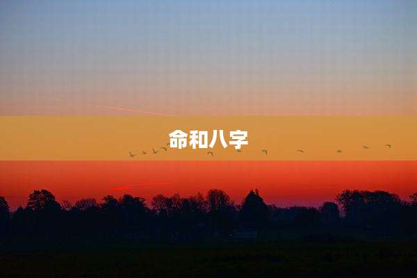 命和八字