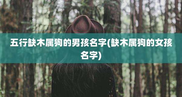 五行缺木属狗的男孩名字(缺木属狗的女孩名字)
