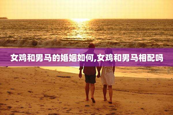 女鸡和男马的婚姻如何,女鸡和男马相配吗